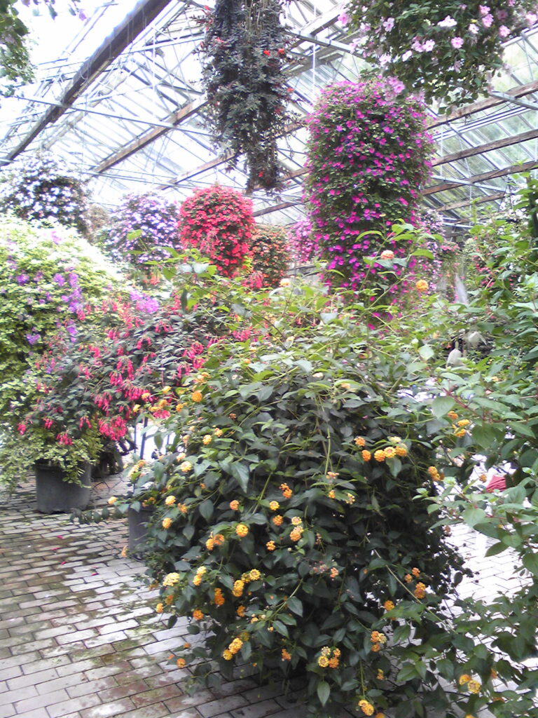 画像に alt 属性が指定されていません。ファイル名: Image123-768x1024.jpg