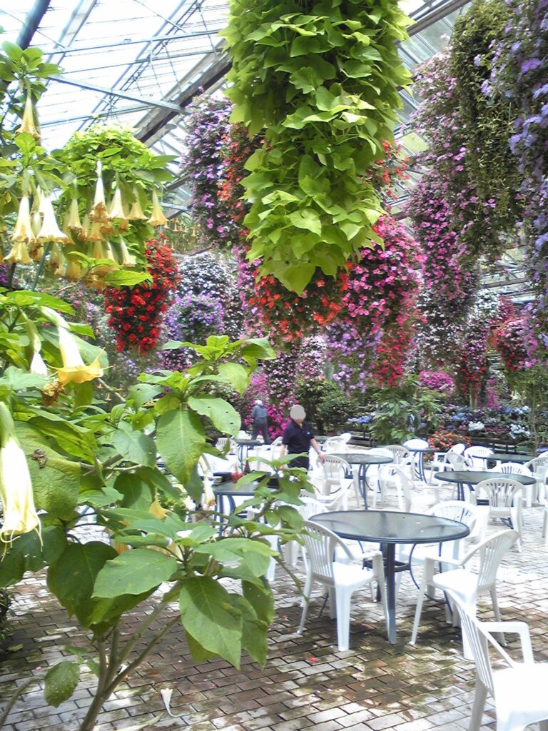 画像に alt 属性が指定されていません。ファイル名: Image124-768x1024.jpg