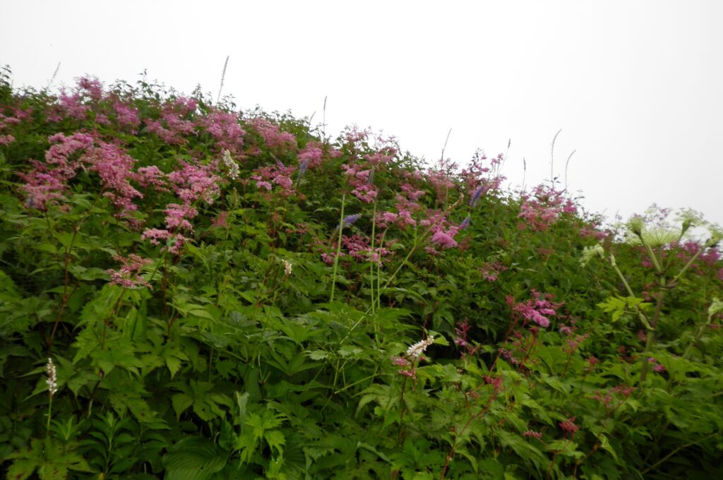 画像に alt 属性が指定されていません。ファイル名: SANY0074-1024x680.jpg