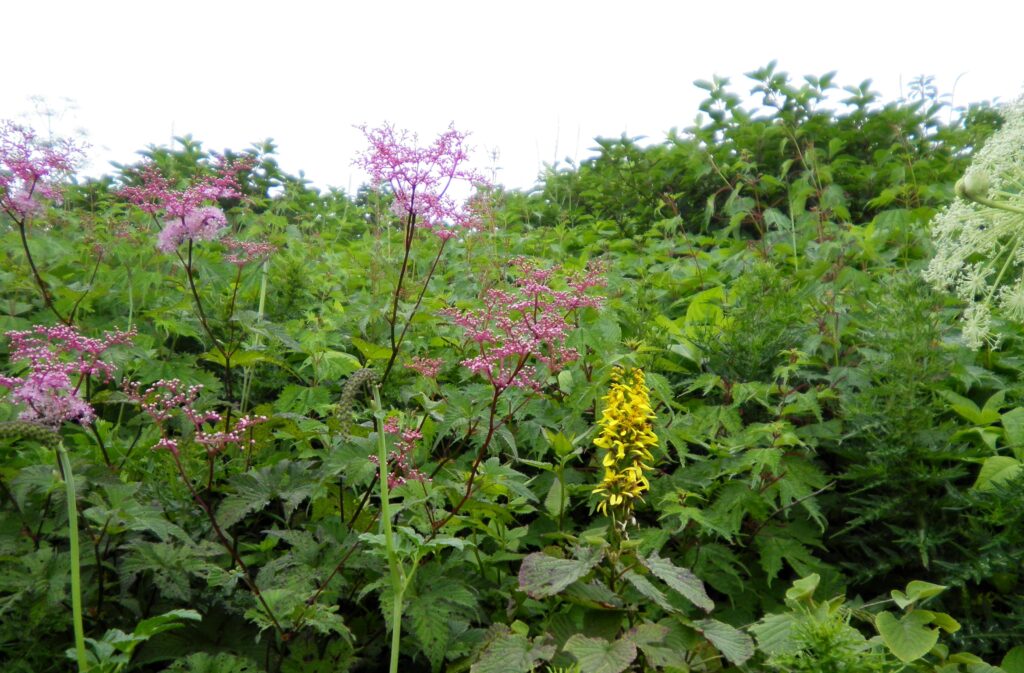 画像に alt 属性が指定されていません。ファイル名: SANY0075-1024x673.jpg