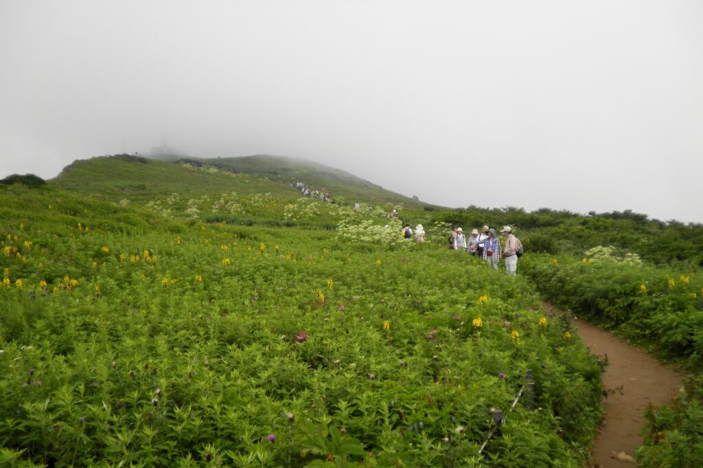 画像に alt 属性が指定されていません。ファイル名: SANY0085-1024x681.jpg