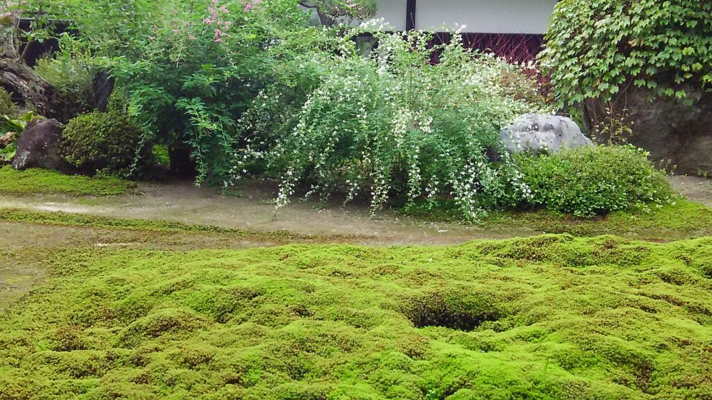 画像に alt 属性が指定されていません。ファイル名: DSC_0813-1024x576.jpg