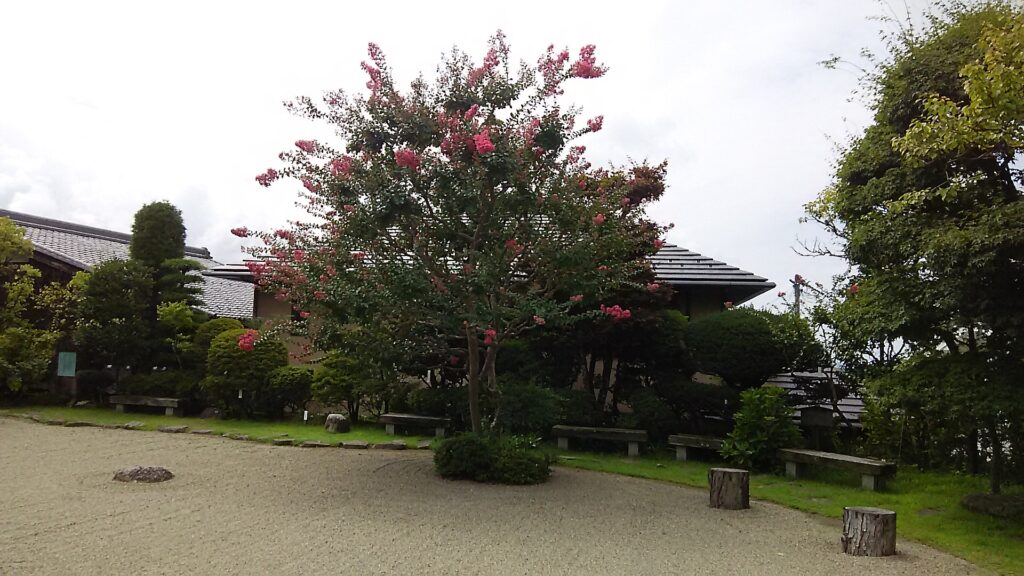 画像に alt 属性が指定されていません。ファイル名: DSC_0917・藤村記念館庭-1024x576.jpg