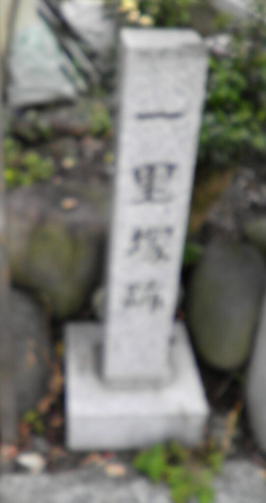 画像に alt 属性が指定されていません。ファイル名: SANY0071-541x1024.jpg