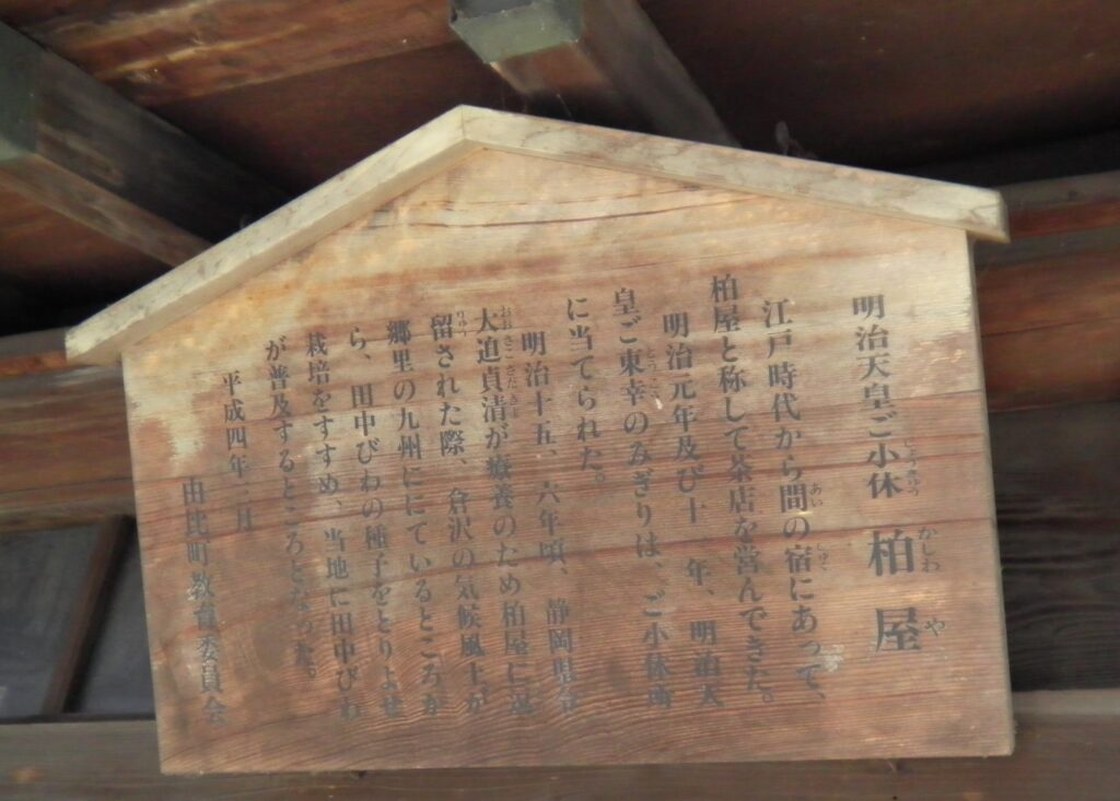 画像に alt 属性が指定されていません。ファイル名: SANY0082-1024x733.jpg