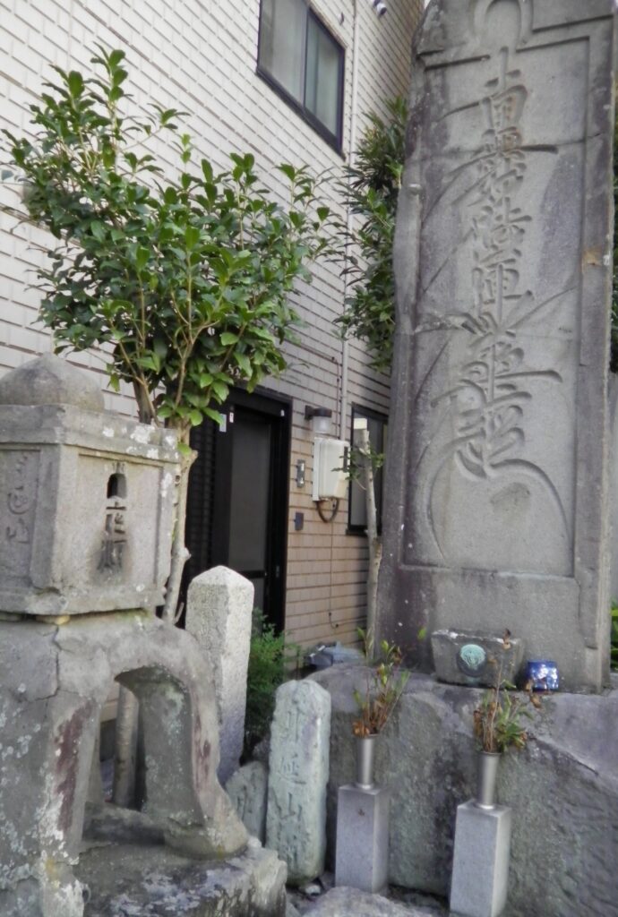 画像に alt 属性が指定されていません。ファイル名: SANY0097-690x1024.jpg